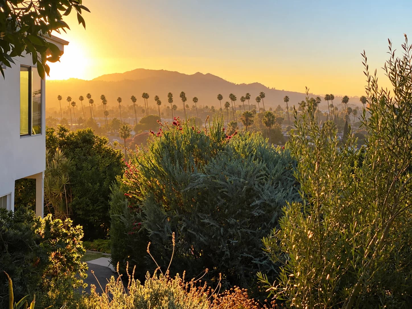 Golden hour view over a row of palm trees toward the San Gabriel foothills