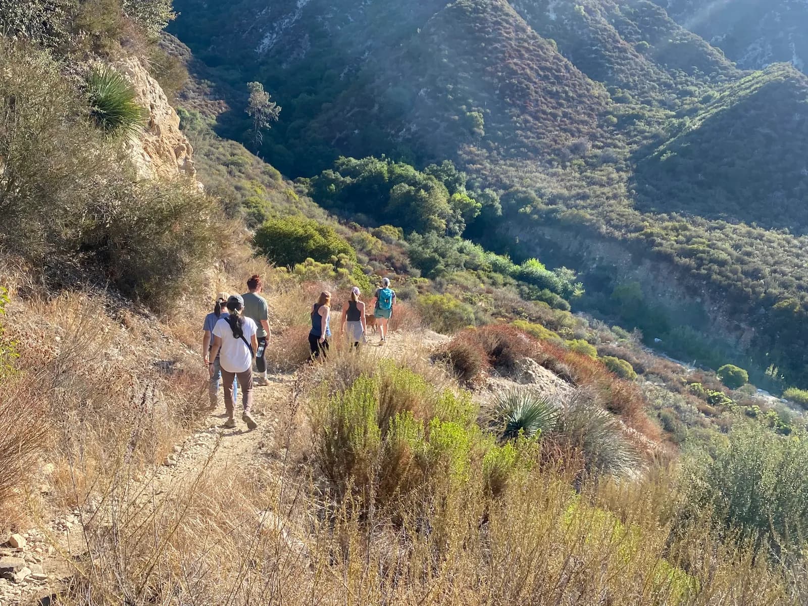 A group of moms hiking single file along a canyon trail in the San Gabriel foothills